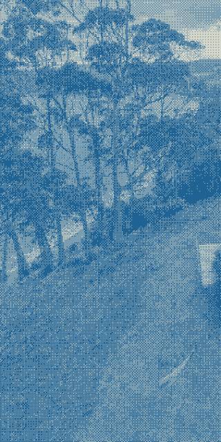 Trees on a hill by the beach.